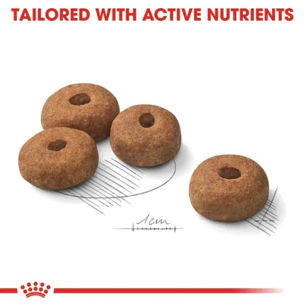Royal Canin Sterilised Maxi - Суха храна за кастрирани кучета от големи породи за поддържане на здравословно тегло - 12 кг
